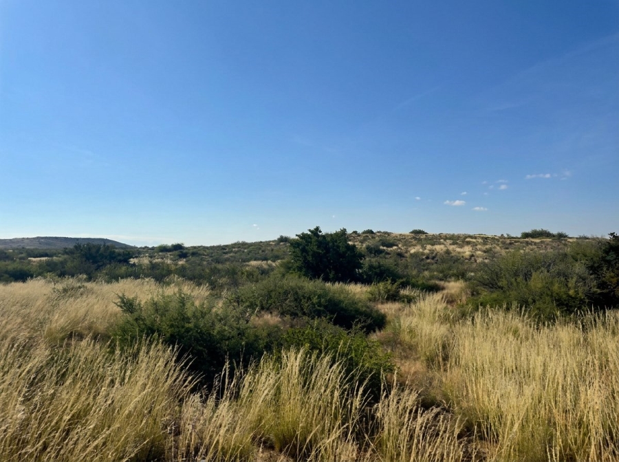 Commercial Property for Sale in Vanwyksvlei Northern Cape